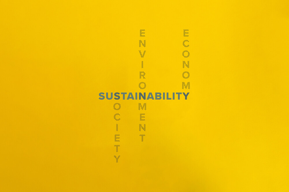 image of the words society, environment, economy and sustainability